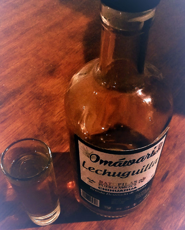 lechiguilla1